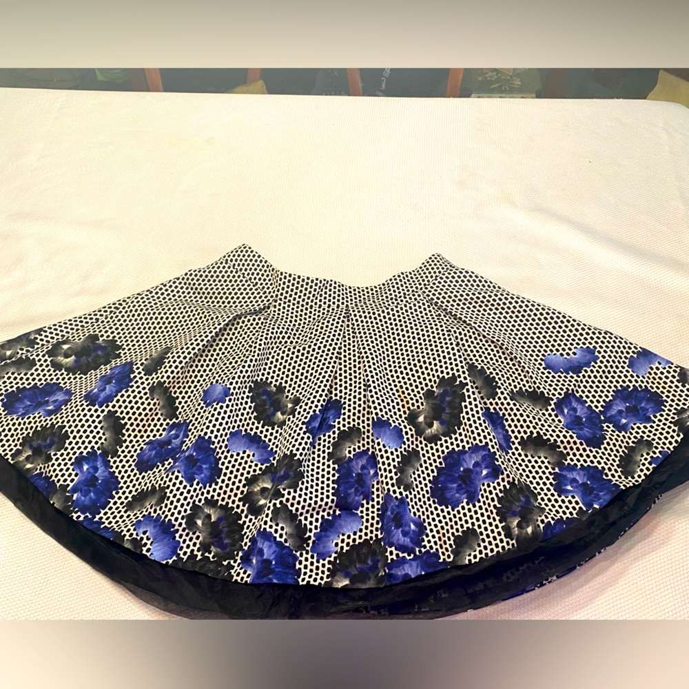 Express, Size 6 skirt